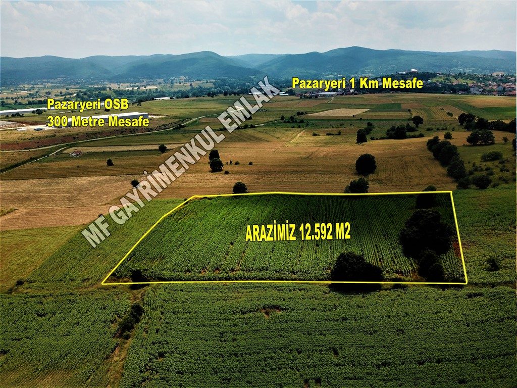 Yatırımlık OSB Ye 300 Metre Tarla - Bilecik / Pazaryeri / Çarşı Mahallesi - Görsel 1