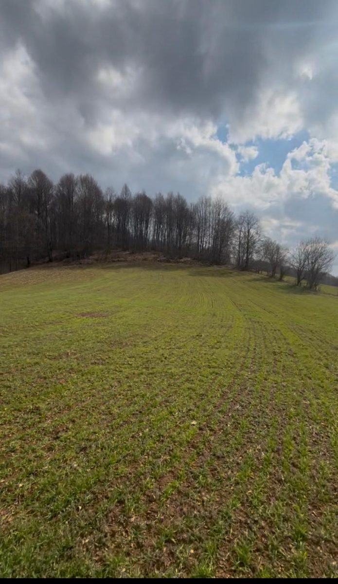 BURSA İNEGÖL HAMİTABAT MAHALLESİ’NDE SATILIK 5.037 M² VERİMLİ TARIM ARAZİSİ - 4. görsel