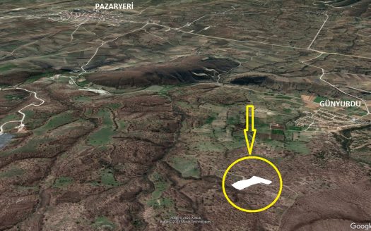 GÜNYURDU KÖYÜNDE SATILIK 11 DÖNÜM TARLA