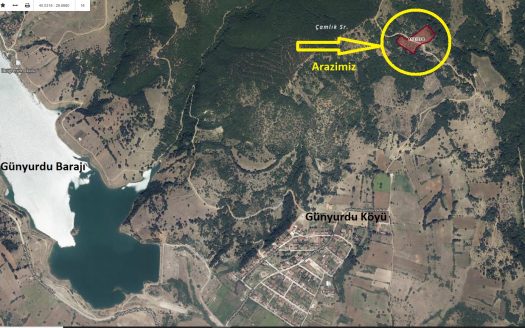 GÜNYURDU KÖYÜNDE SATILIK 11 DÖNÜM TARLA