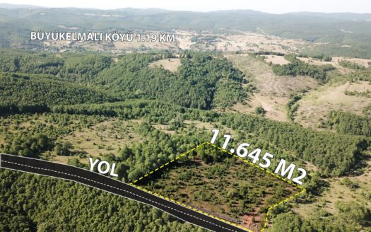 BURÇALIK KÖYÜNDE SATILIK UYGUN YATIRIMLIK TARLA