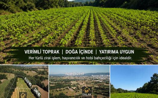 FIRANLAR KÖYÜNDE İKİ ADET SATILIK ARAZİ